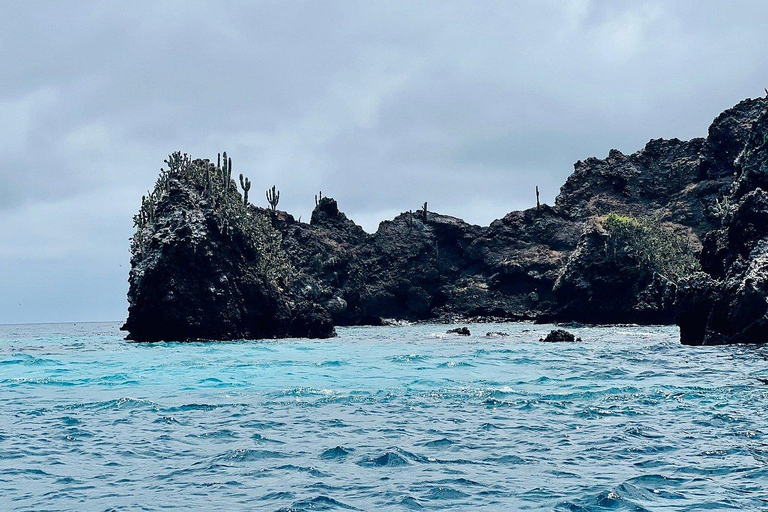 Desde Pto Ayora: Excursión de un día a Floreana y Punta CormoránDesde Pto Ayora: Excursión de un día a la parte deshabitada de Floreana