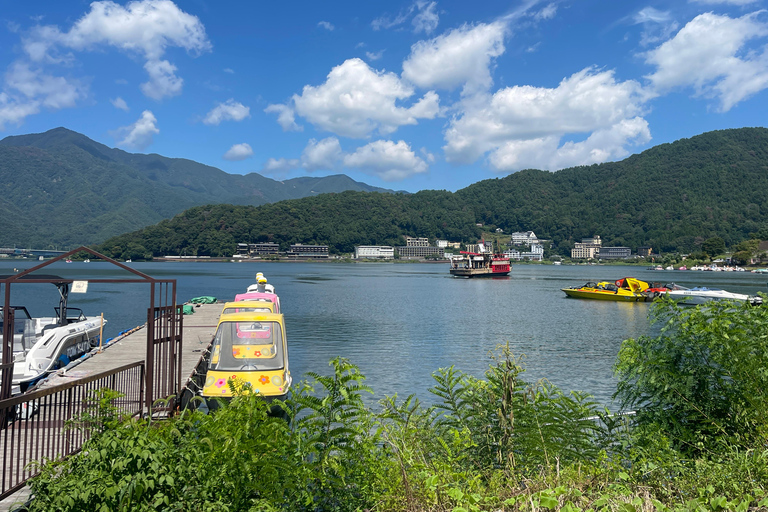 4-Daagse privétour Mt Fuji, Hakone, Nikko en Tokio.