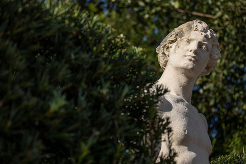 Vizcaya Museum & Gardens Entry Ticket Standard Entry Ticket