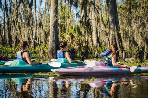 Nueva Orleans: Excursión en Kayak por el Pantano Mágico de ManchacExcursión por el pantano en kayak sin transporte