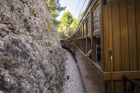 Palma: Inselrundfahrt auf Mallorca mit Boot, Zug und BusPalma: Mallorca Island Tour per Boot, Zug und Bus