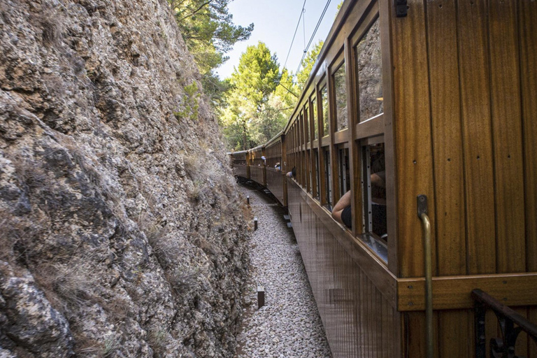 Palma: Inselrundfahrt auf Mallorca mit Boot, Zug und BusPalma: Mallorca Island Tour per Boot, Zug und Bus