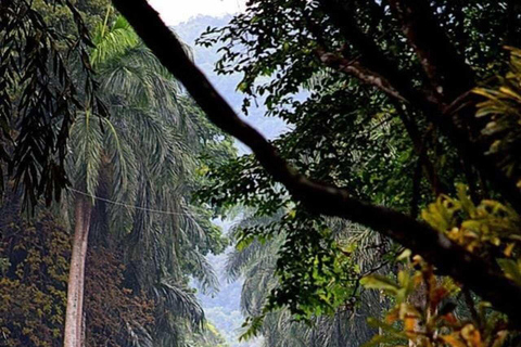 Kandy: Temple of Tooth, Train Ride, & Cave Waterfall Tour