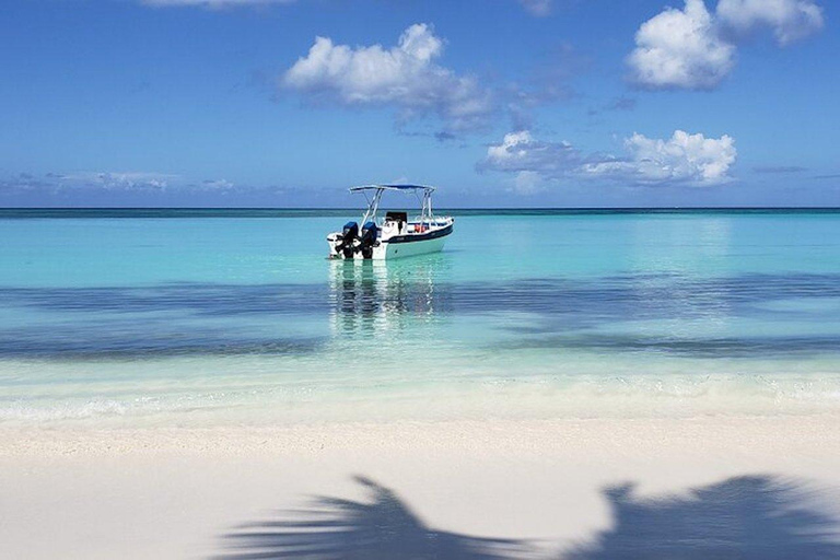 Punta Cana: Saona Island Full-Day Small Groups Tour Punta Cana: Saona Island Full-Day Tour with Lunch