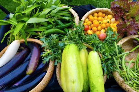 From Garden to Table: Guilin Farm & Family Meal Experience Guide for Chinese or English