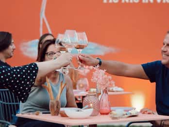 Polpenazze: tour della cantina con 4 vini rosati della Valtènesi e degustazione gastronomica