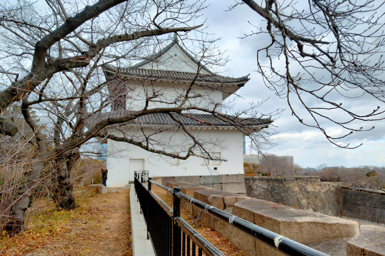 Visite du château et du temple d'Osaka avec audioguide multilingueVisite guidée du château et du temple d'Osaka avec audioguide multilingue
