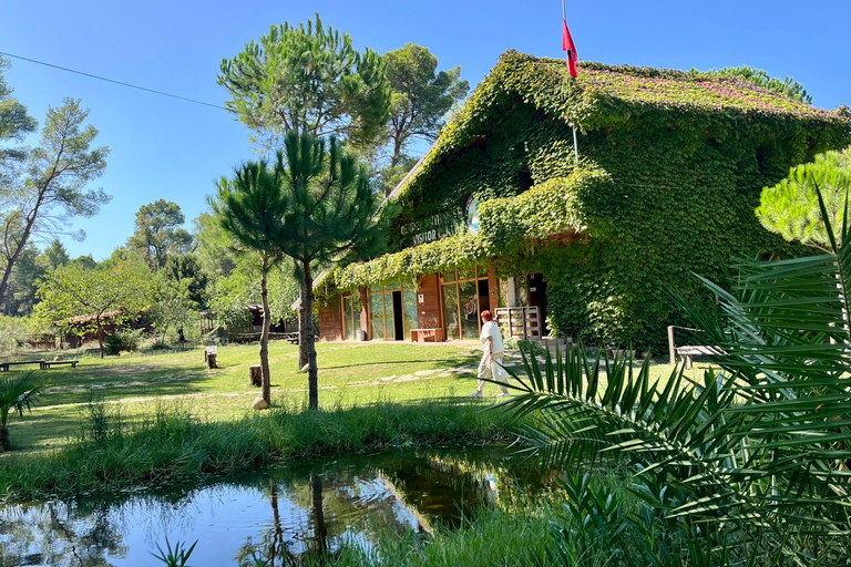 تيرانا: رحلة ليوم واحد إلى أبولونيا وبحيرة كارافاستا مع الغداء