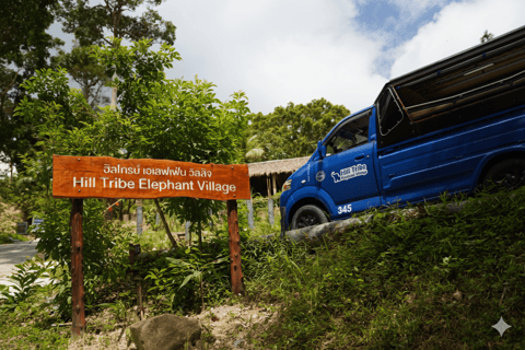 Phuket: City Highlights & Elephant Sanctuary with Lunch