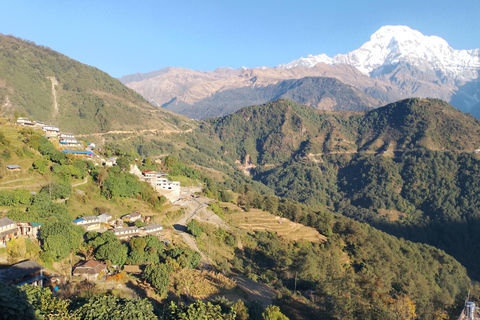 From Pokhara: 4 Night 5 Day Poon Hill, Ghandruk Trek