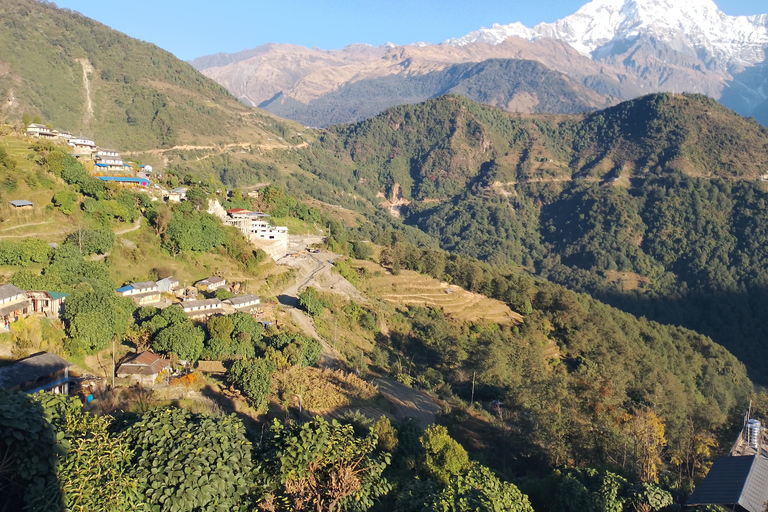 From Pokhara: 4 Night 5 Day Poon Hill, Ghandruk Trek