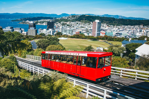 Wellington: Visita os pontos altos com um guia local