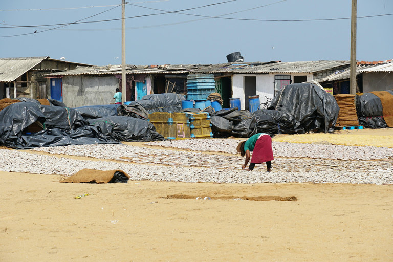 Negombo &amp; Colombo: Ganztägige Tour mit Mittagessen