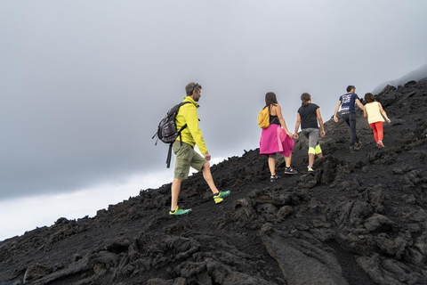 Catania: Guided Tour of Etna with Farm Visit & Wine Tasting Guided excursion on Etna from Catania with typical tasting