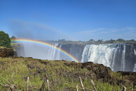 Victoria Falls and Birdwatching Tour