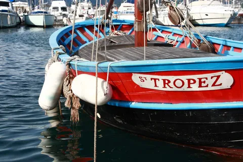 Da Nizza: Tour di un giorno a St Tropez e Port Grimaud