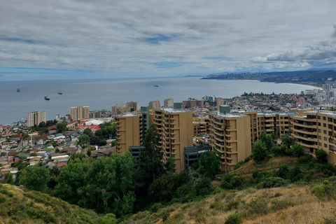 Viña del Mar: Car tour with pick-up, local guide, and iconic viewpoints