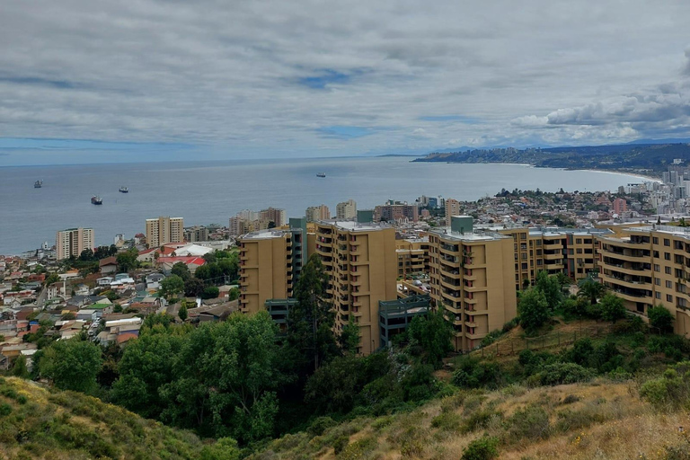 Viña del Mar: Car tour with pick-up, local guide, and iconic viewpoints