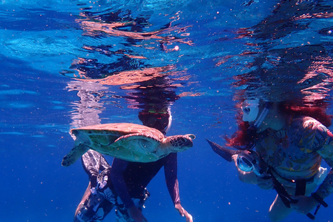 From Naha: Kerama Islands Snorkeling Boat Trip with Turtles