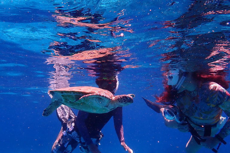 From Naha: Kerama Islands Snorkeling Boat Trip with Turtles