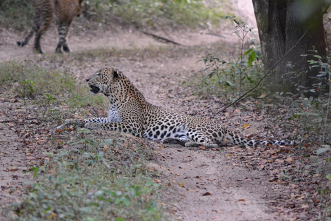 Sri Lanka 2-day Tour: 3 Amazing National Parks+River Safari