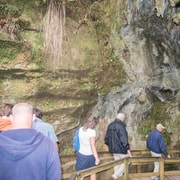 From Paihia: Kawiti Glowworm Caves Guided Tour