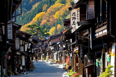 Tokyo: Mount Fuji And Hakone Private Tour Full Customizable
