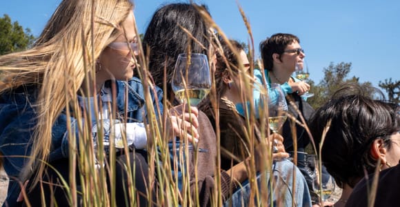 Athens: Greek Wine Tasting and Picnic on Philopappou Hill