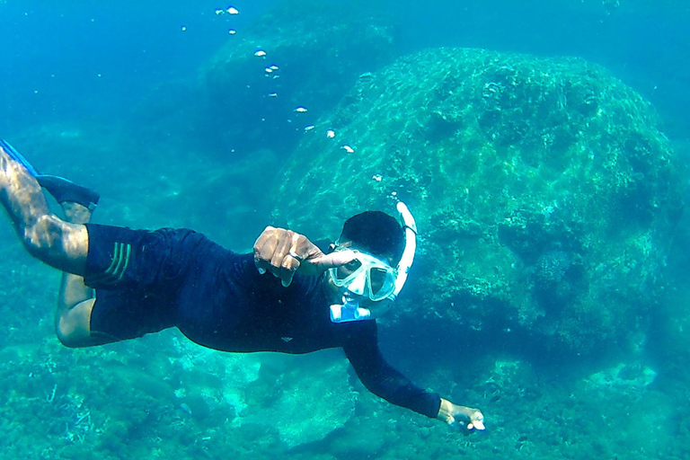 Colombo: 3-Day Trincomalee Beach & Whale Watching Tour