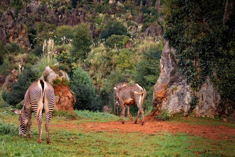 Overnight Safari to Aberdare National park from Nairobi