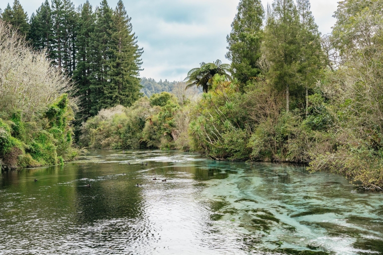 Rotorua: Halbtägige Erkundung der Seen Eco Tour