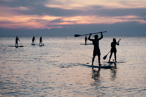 Paddle surf ride around Santander Paddle surfing ride in Santander