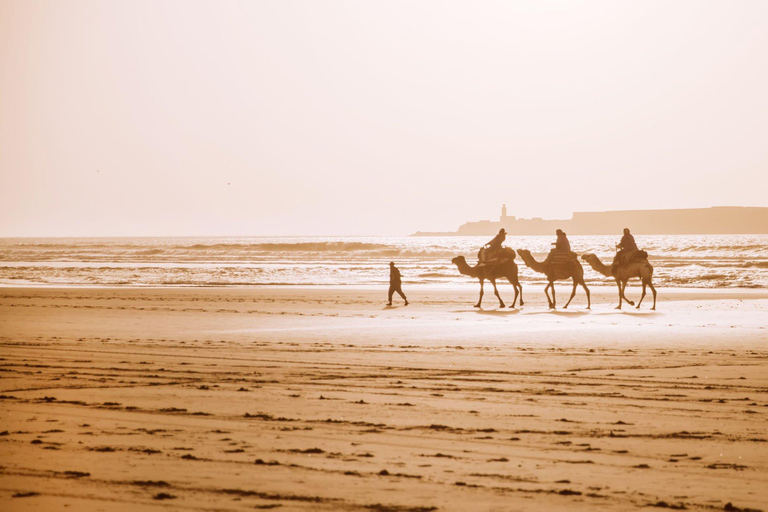 Au départ d&#039;Agadir : Promenade à dos de chameau et randonnée des flamants roses