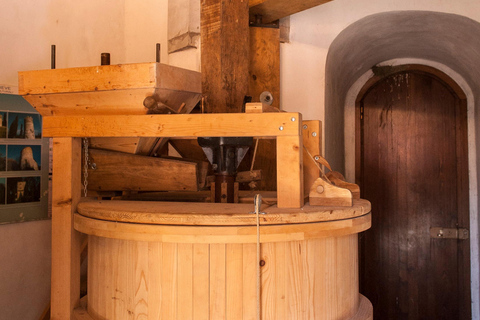 Lavacchio Farm: The Windmill with a tasting of our organic oil Fattoria Lavacchio: The Windmill with a tasting of our organic oil