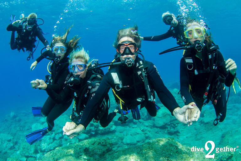 Experiencia de buceo de medio día - no se necesita experiencia