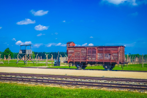 Da Cracovia: Tour di Auschwitz-Birkenau con trasporto di un giornoDal centro città: Tour con punto d'incontro e pranzo
