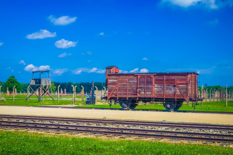 Da Cracovia: Tour di Auschwitz-Birkenau con trasporto di un giornoDal centro città: Tour con punto d'incontro e pranzo