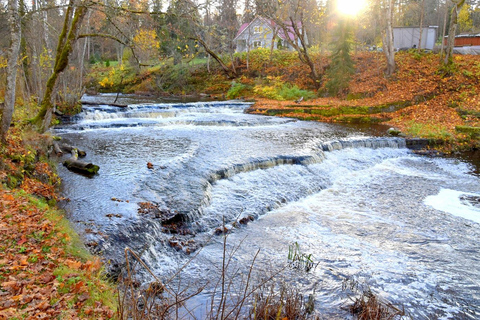 Descubre Estonia - excursión en coche a la ciénaga de Viru y a las cascadas.