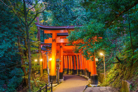 De Osaka: Excursão privada a Quioto e Nara (motorista que fala inglês)Visita Kyoto: Passeio turístico particular com motorista que fala inglês