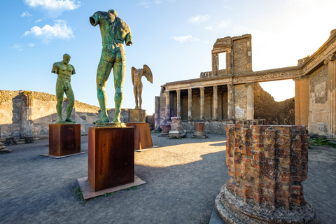 From Naples Port: Pompeii Guided Walking tour or smart guide English guided tour