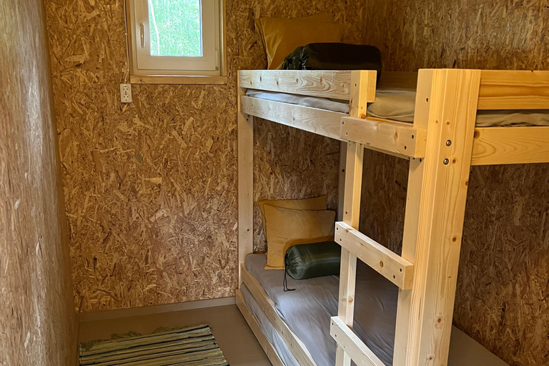 Tallinn: Wild Bear Watching in Forest, Night in Log House