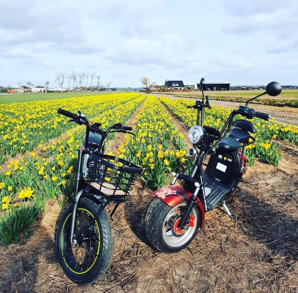 Hillegom: Alquiler de E-Scooters o E-Bikes en la Región de los Bulbos