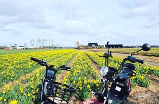 Hillegom: E-Scooter- oder E-Bike-Verleih in der Region Bulb