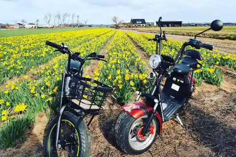 Hillegom: Aluguel de E-Scooter ou E-Bike na região de Bulb