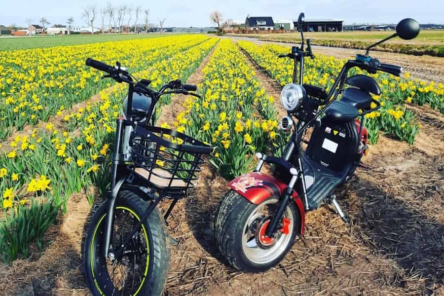 Hillegom: E-Scooter- oder E-Bike-Verleih in der Region Bulb. Foto: GetYourGuide