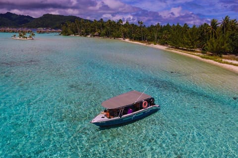 Raiatea : lagon de Tahaa, snorkeling dans le jardin de corail et déjeuner sur un motu