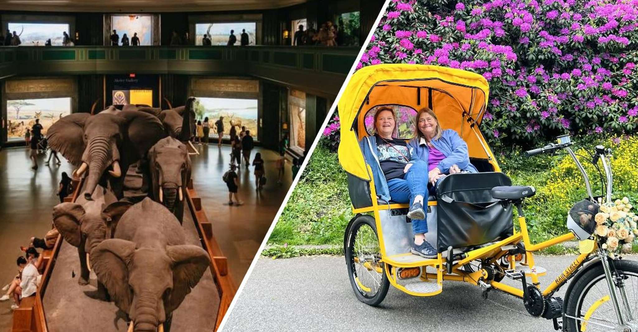 NYC: Central Park Pedicab Tour and Natural History Access