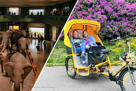 Central Park Pedicab Tour + optionale Tickets für das Naturkundemuseum