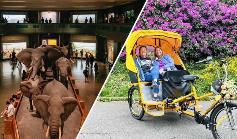 NYC: Central Park Pedicab Tour and Natural History Access