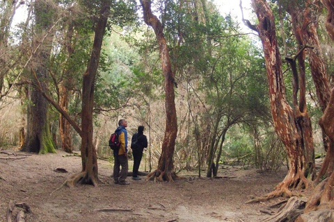 Private Full-day Tour in Bariloche with optional Airfare. Airfare Excluded